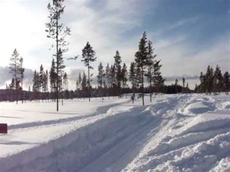 fox park wyoming webcam